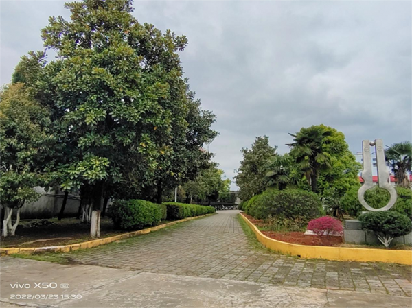 Ag亚洲集团(中国区)官方网站